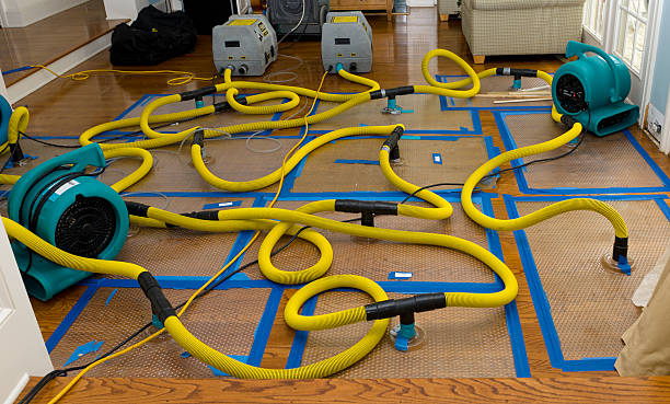 Professional Crawl Space Water Removal technician working in Deerfield, MI